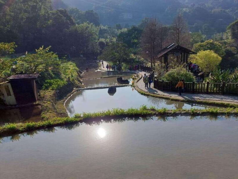 From Taipei: Pinglin Tea Culture and Maokong Guided Day Tour - FAQ