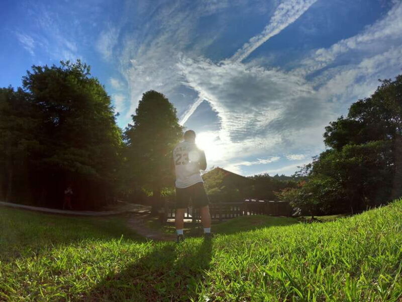 From Taipei: Private Yangmingshan Volcano and Nature Tour - Final Thoughts: Who Will Love This Tour?