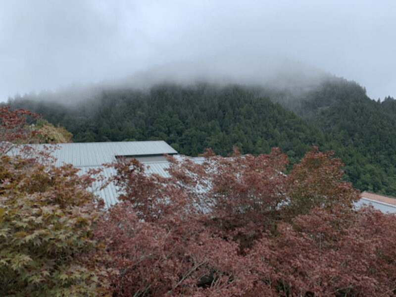 From Taipei: Taipingshan & Jiuzhize Hot Spring Private Tour - Good To Know