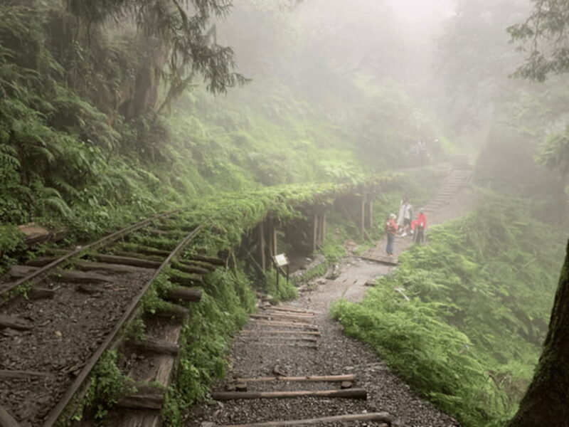 From Taipei: Taipingshan National Forest Private Day Tour - Who Will Appreciate This Tour?
