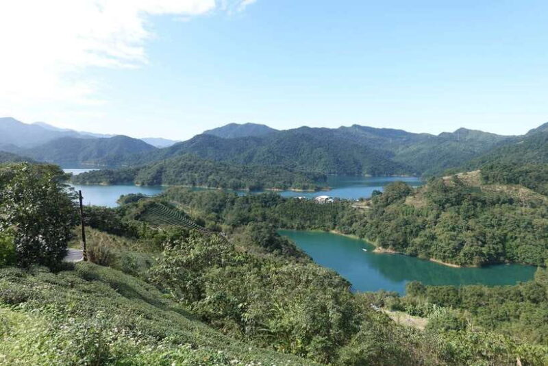 From Taipei: Thousand Island Lake and Pinglin Tea Plantation - Who Would Love This Tour?