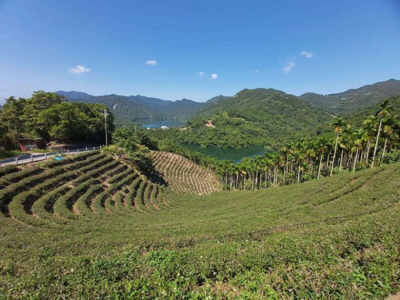 From Taipei: Thousand Island Lake and Pinglin Tea Plantation - Frequently Asked Questions