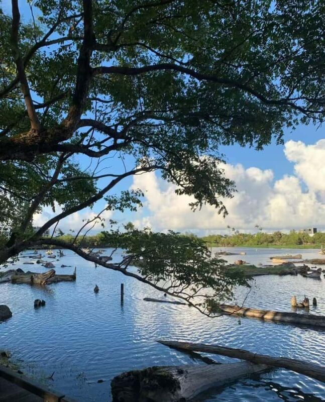 From Taipei to Yilan: Stories of Art, Nature, and Local Life - Good To Know