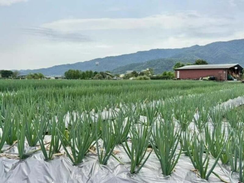 From Taipei to Yilan: Stories of Art, Nature, and Local Life - FAQ