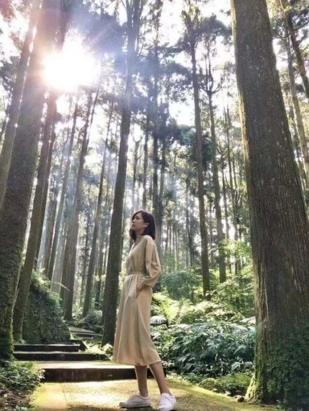 From Taipei to Yilan:Dolphins, Waves, and Whispering Trees - FAQ