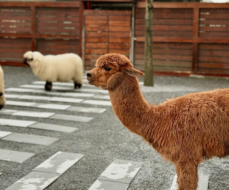 From Taipei: Yilan Private Tour with Kavalan & Arts Visit - Who Will Love This Tour?