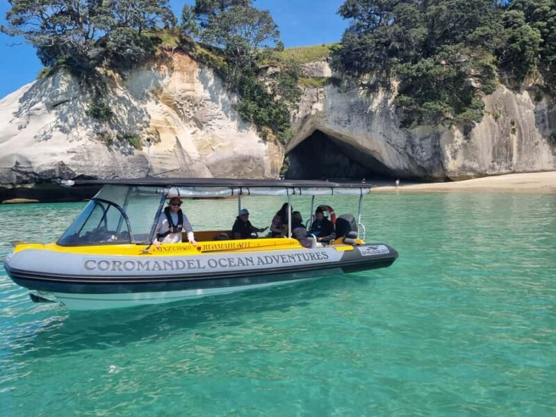 From Tairua: 2 Hour Cathedral Cove Tour with Local Guide - Practical Tips for Making the Most of Your Trip