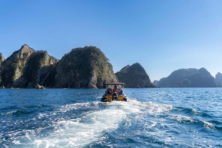 From Tairua: Coromandel Peninsula Guided Scenic Cruise - Booking and Cancellation Information