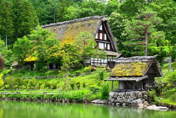 From Takayama: Cultural Heritage & Kamikochis Alpine Beauty - Wildlife Encounters