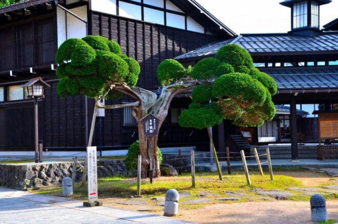 From Takayama: Delve Into Hida-Furukawa's Cultural Treasures - The Sum Up