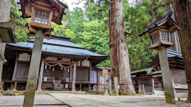 From Takayama: Immerse in Takayama's Rich History and Temple - Serene Realms: Hachimangu Shrine and Hie Shrine