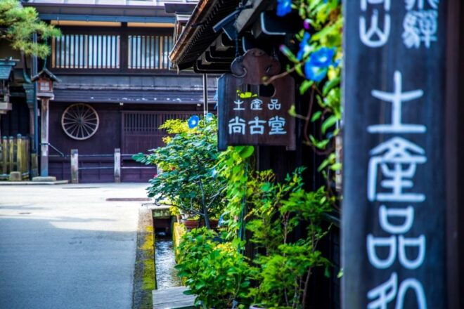 From Takayama: Immerse in Takayama's Rich History and Temple - Historic Old Town: Takayamas Preserved Charm