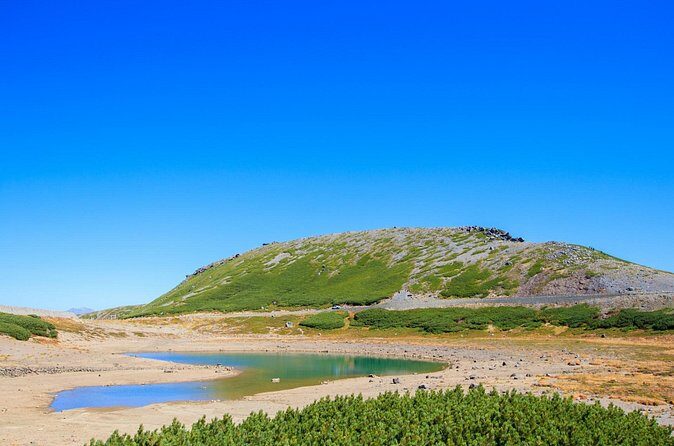From Takayama Mt. Norikura Alpine Flowers and Panoramic Peaks - Who Would Love This Tour?