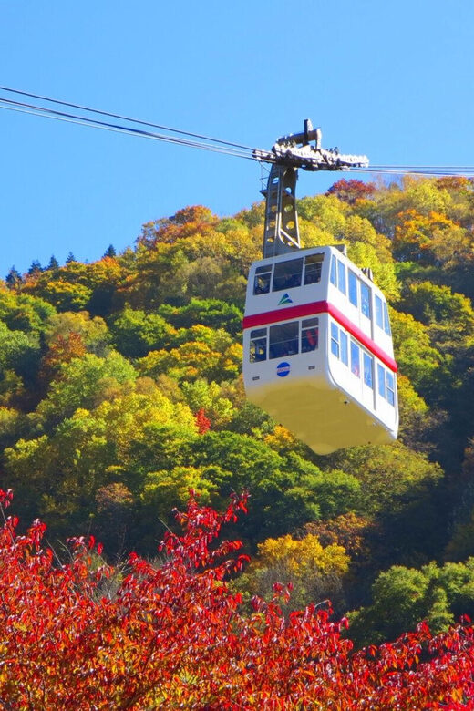 From Takayama: Shinhotaka Ropeway and Kamikochi tour - Who Is This Tour Best For?