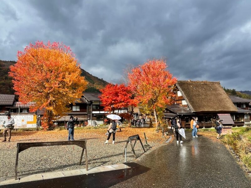 From Takayama: Shirakawago UNESCO World Heritage Site Tour - Why Choose This Tour?