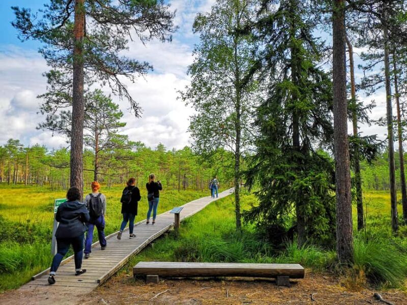From Tallinn: Bog walk and Sauna Tour - Good To Know