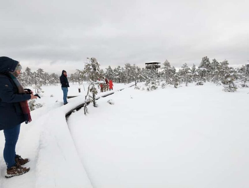 From Tallinn: Bog walk and Sauna Tour - Culinary and Cultural Enrichment