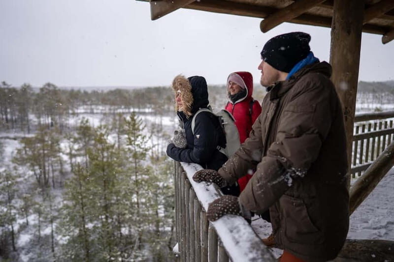 From Tallinn: Day Trip to Lahemaa National Park - Exploring Lahemaa: A Natural and Cultural Treasure 