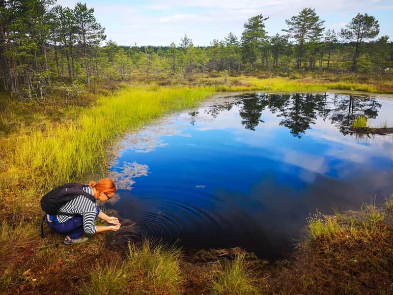 From Tallinn: Day Trip to Lahemaa National Park - FAQs