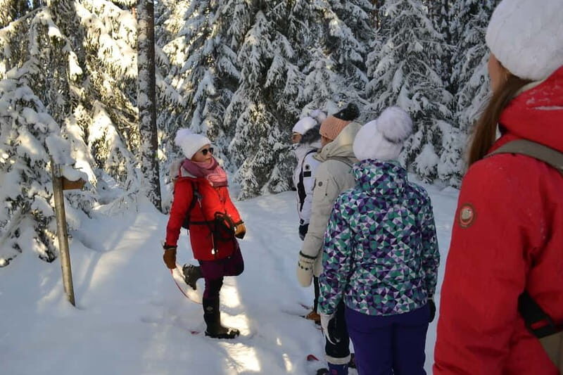 From Tallinn: Guided Bog-Shoe Hiking Tour - Why You’ll Love This Bog-Shoe Hike