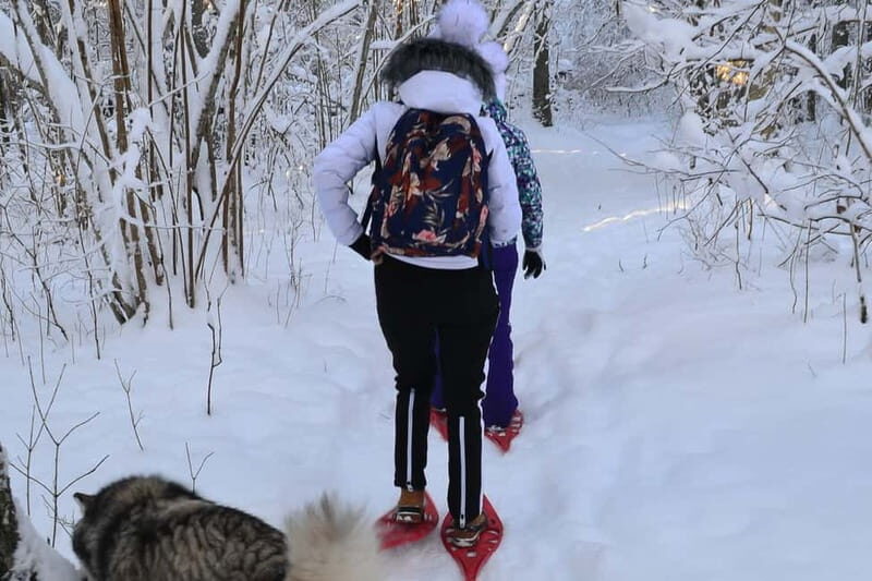 From Tallinn: Guided Bog-Shoe Hiking Tour - The Practicalities: What to Know Before You Go