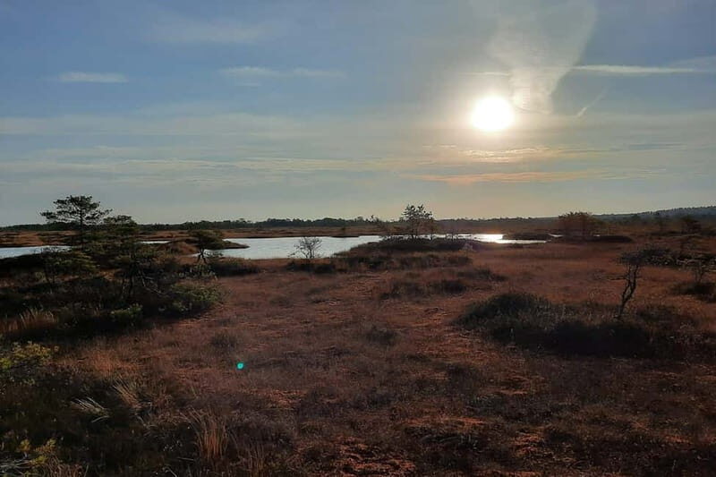 From Tallinn: Guided Bog-Shoe Hiking Tour - Final Thoughts: Who Is This Tour Perfect For?