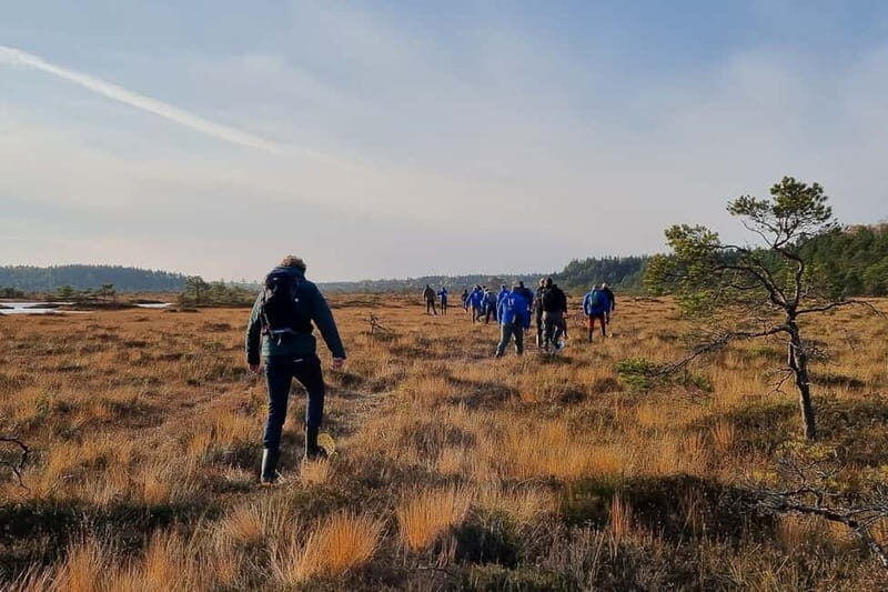 From Tallinn: Guided Bog-Shoe Hiking Tour - FAQs