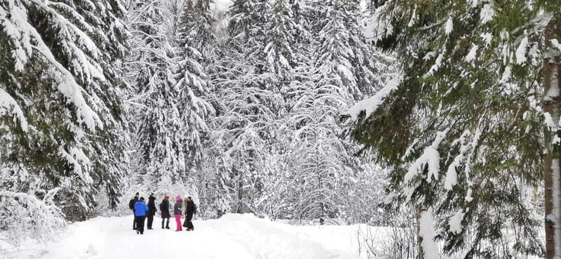 From Tallinn: Lahemaa National Park 3 Waterfall Hike - The Itinerary in Detail