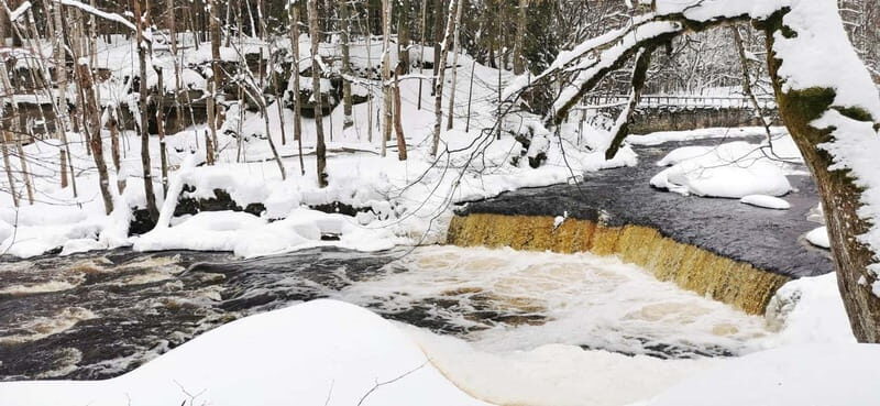 From Tallinn: Lahemaa National Park 3 Waterfall Hike - The Experience: What Reviewers Say