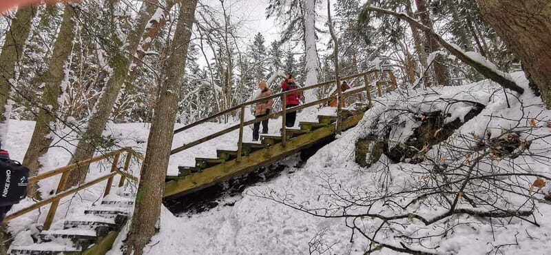 From Tallinn: Lahemaa National Park 3 Waterfall Hike - The Value of This Tour