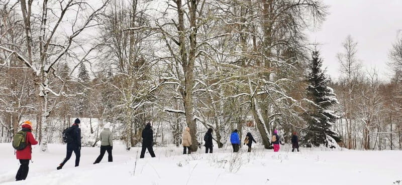 From Tallinn: Lahemaa National Park 3 Waterfall Hike - Who Should Consider This Experience?