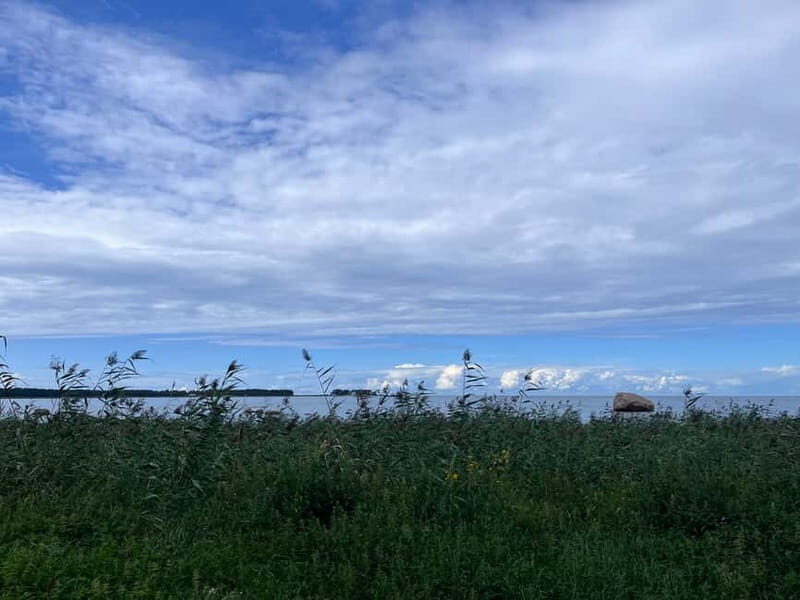 From Tallinn: Lahemaa National Park Day Trip - Exploring Lahemaa National Park from Tallinn: An Honest Review