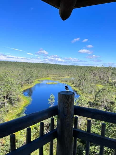 From Tallinn: Lahemaa National Park Day Trip - FAQ