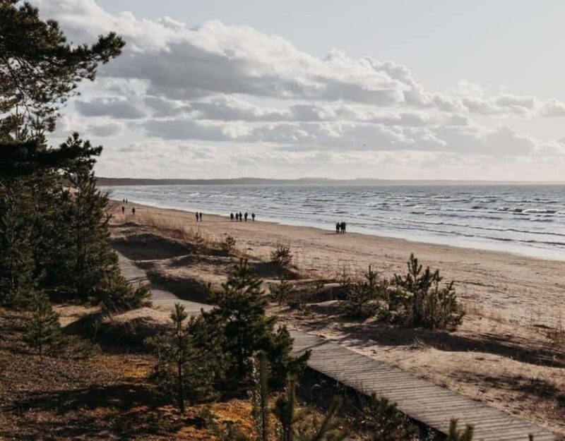 From Tallinn: Narva and Narva-Jõesuu Day Trip with Guide - Discover Estonia’s Border City and Seaside Charm: A Day Trip from Tallinn