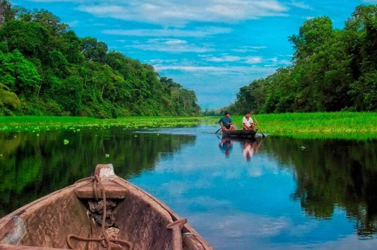 From Tambopata: Piranha Fishing - Activity Details