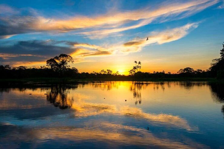 From Tambopata: Sunset on the Tambopata River - Activity Details