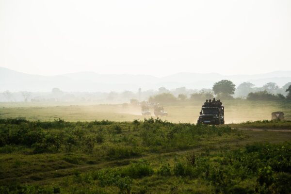 From Tangalle/Hiriketiya: Shuttle to Ella With Yala Safari - Common Questions