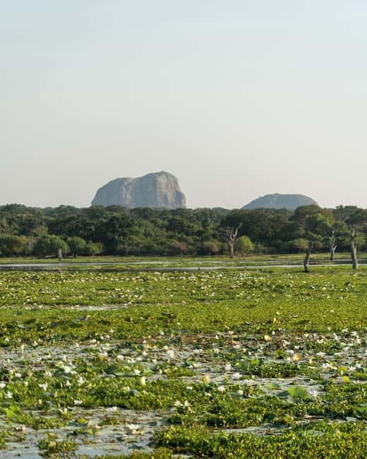 From Tangalle / Hiriketiya - Yala Safari - Drop-off : Ella - Practical Details and Tips