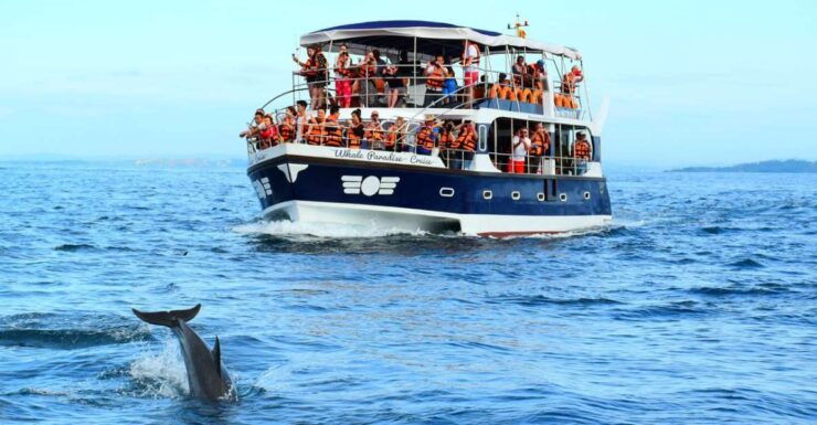 From Tangalle: Mirissa Whale Watching Tour With Breakfast - Free Cancellation and Flexible Payment Options
