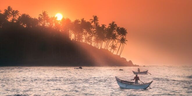 From Tangalle: Mirissa Whale Watching Tour With Breakfast - Description of the Tour and Complimentary Breakfast