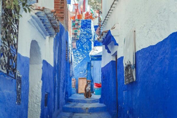 From Tangier : 6-Days Tour To Marrakech Via Merzouga Desert - Unique Activities