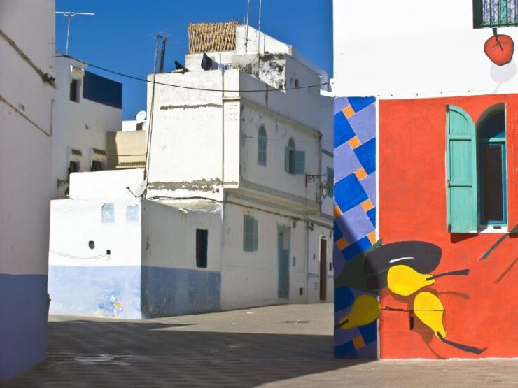 From Tangier: Asilah City Tour - Experience Highlights