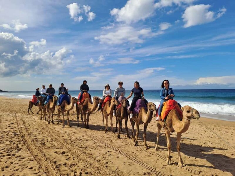 From Tangier: Cap Spartel and Hercules Cave with Camel Ride - From Tangier: Cap Spartel and Hercules Cave with Camel Ride — Honest Review