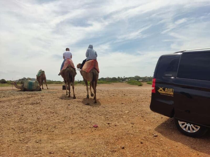From Tangier: Cap Spartel and Hercules Cave with Camel Ride - The Sum Up