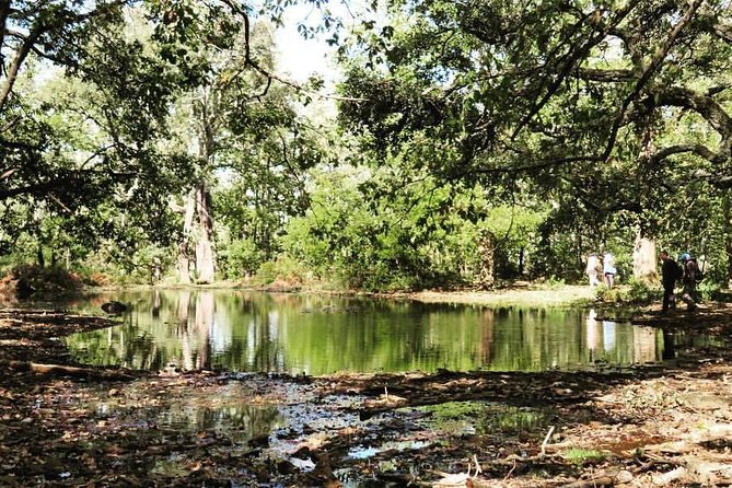 From Tangier : Day Trip to Chefchaouen and Akchour the Waterfalls - Tour Overview