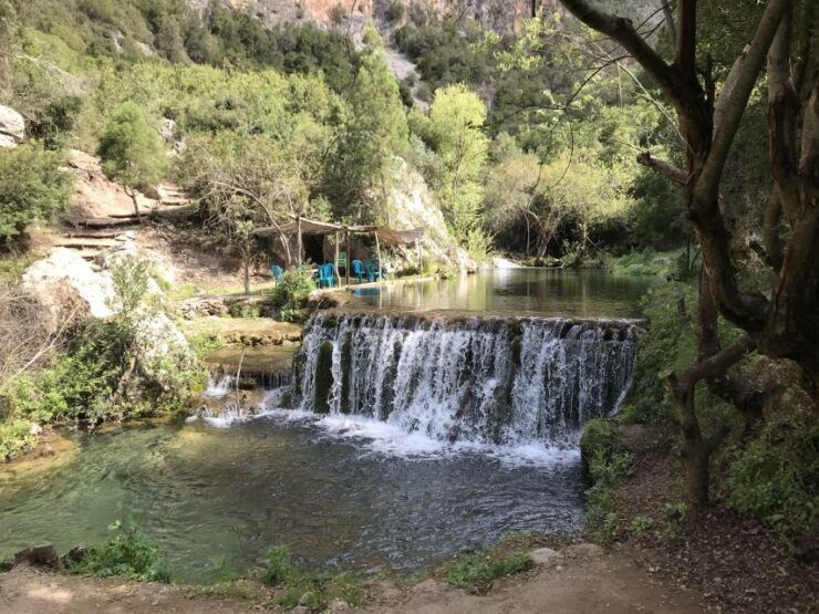 From Tangier: Day Trip to Chefchaouen and Akchour Waterfalls - Review Summary