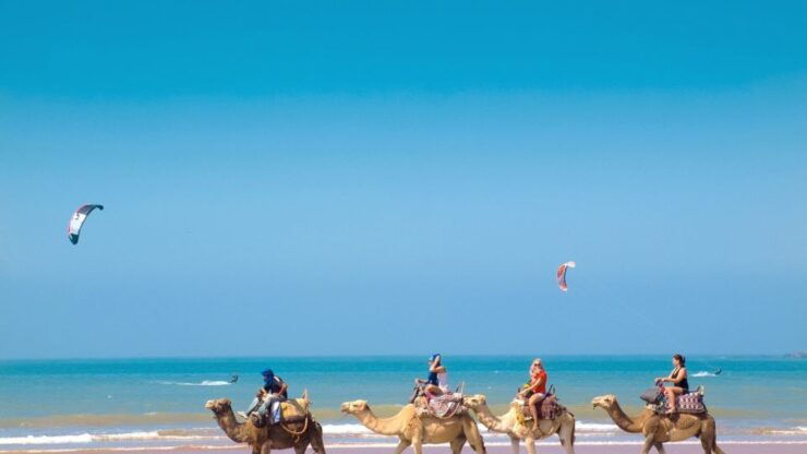 From Tangier: Full-Day Tangier, Asilah, & Cape Spartel Tour - Tour Highlights and Inclusions