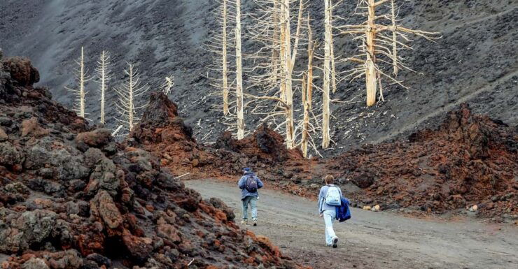 From Taormina: Etna Morning Guided Tour - Good To Know