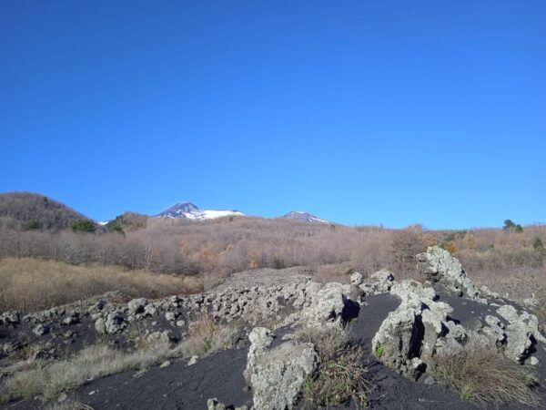 From Taormina: Etna Private Guided Tour - Experience Mount Etna