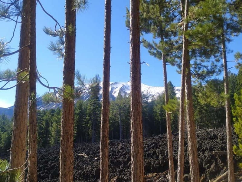 From Taormina: Etna Walking Tour and Wine Tasting in Winery - Good To Know